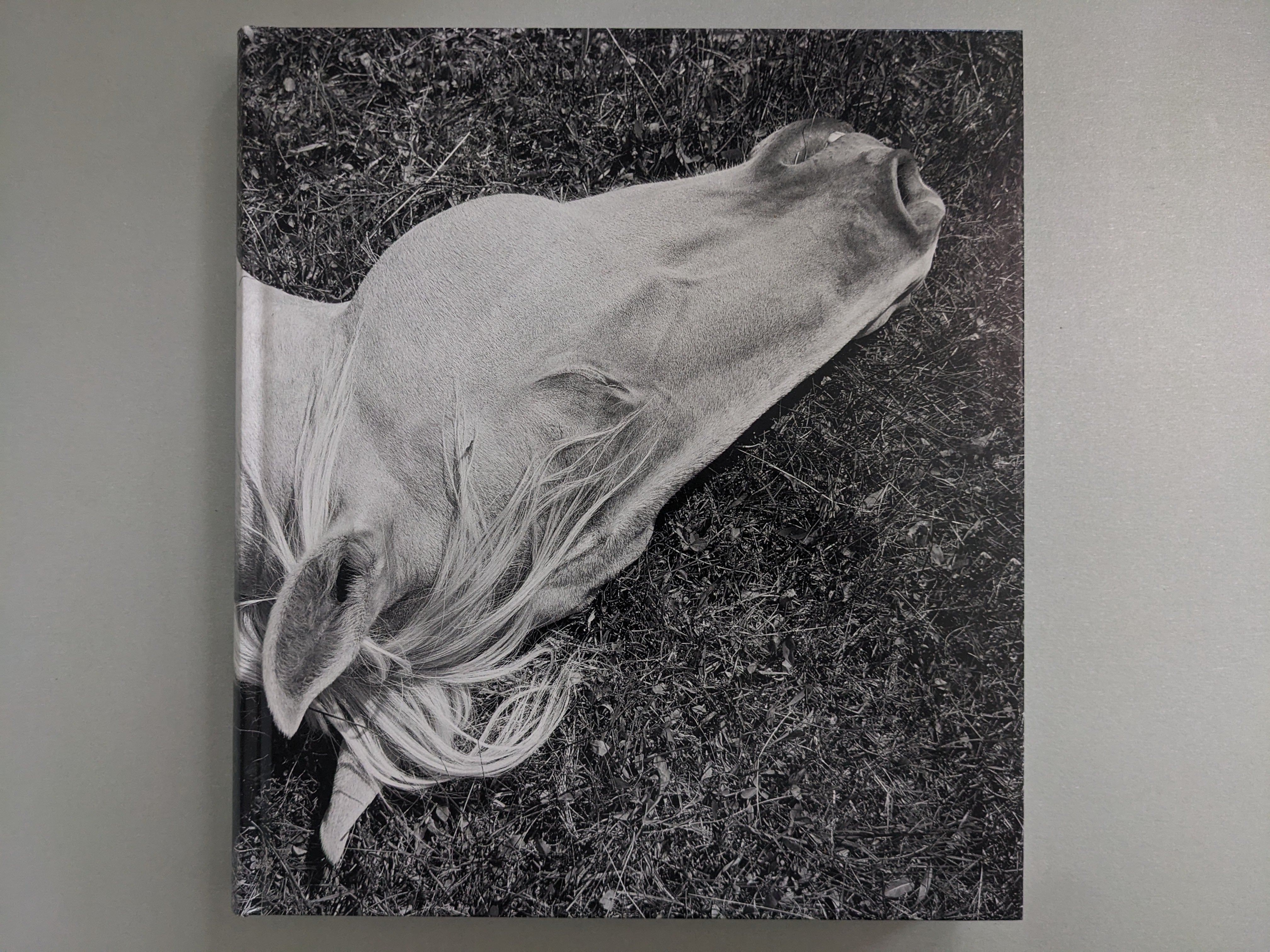 アート・デザイン・音楽 Mimi Plumb / Megalith-still Megalith-Still – Mimi Plumb | Photobook – Stanley/Barker
