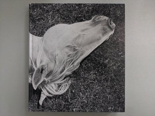 Cover of Megalith-Still by Mimi Plumb featuring a full-frame horse photo