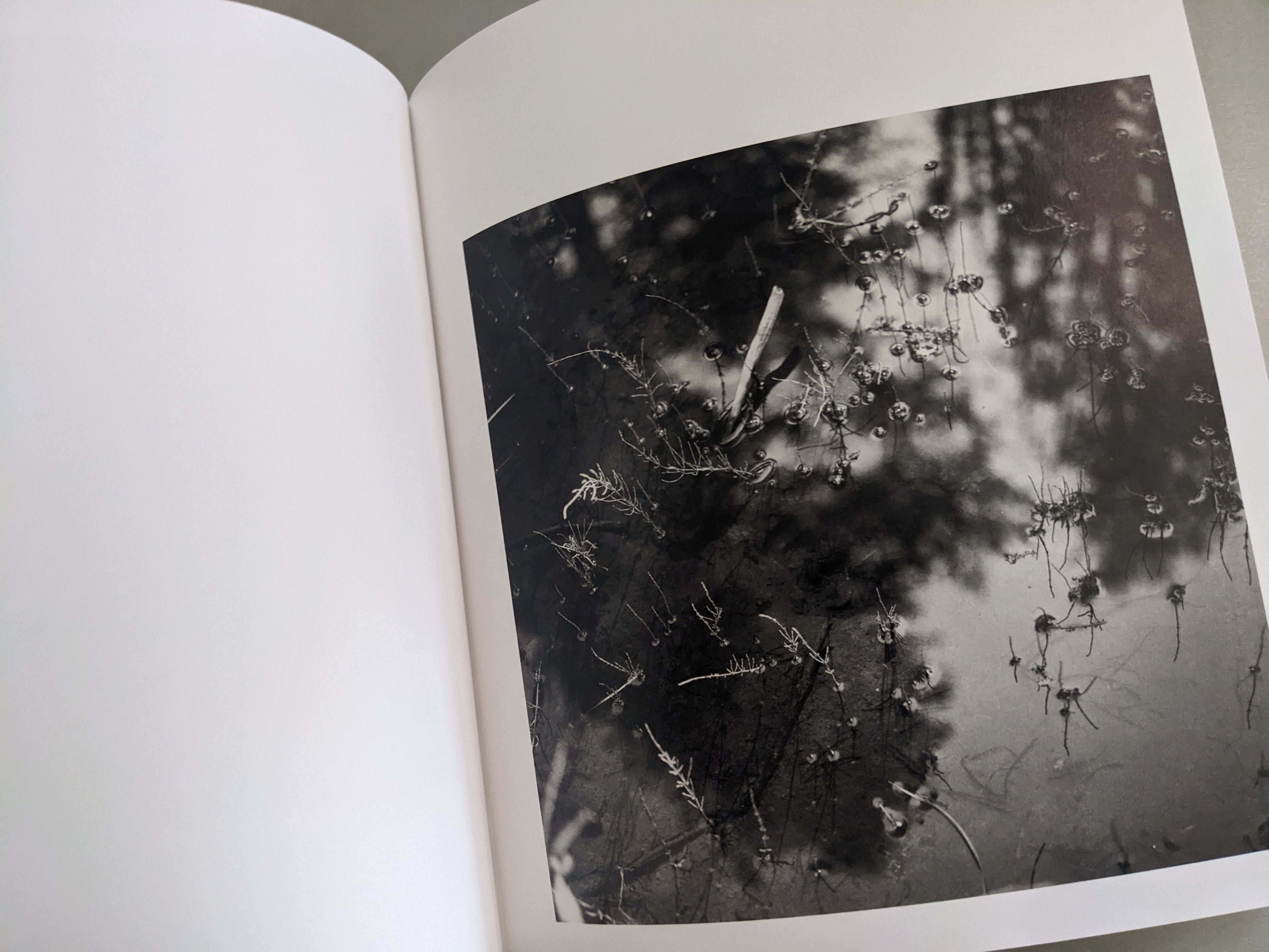アート・デザイン・音楽 Mimi Plumb / Megalith-still Megalith-Still – Mimi Plumb | Photobook – Stanley/Barker