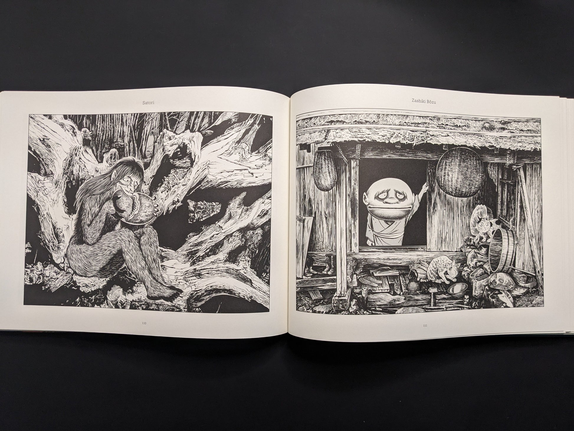 Open book displaying black and white illustrations on a dark background