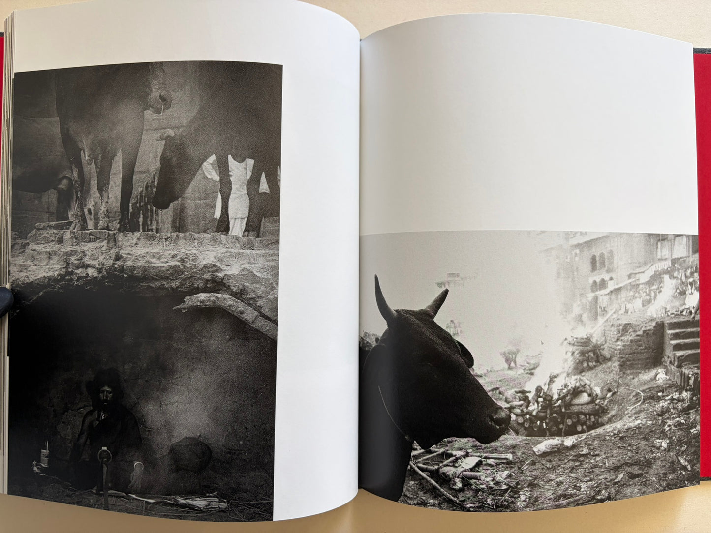 Interior spread from Naked City Varanasi showing cattle, a seated ascetic, and a riverside cremation ground.