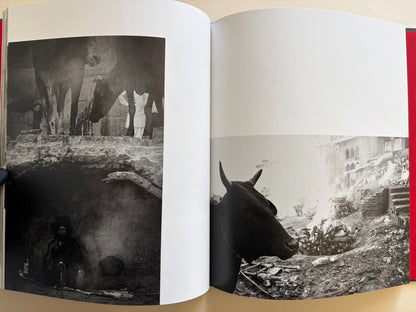 Interior spread from Naked City Varanasi showing cattle, a seated ascetic, and a riverside cremation ground.