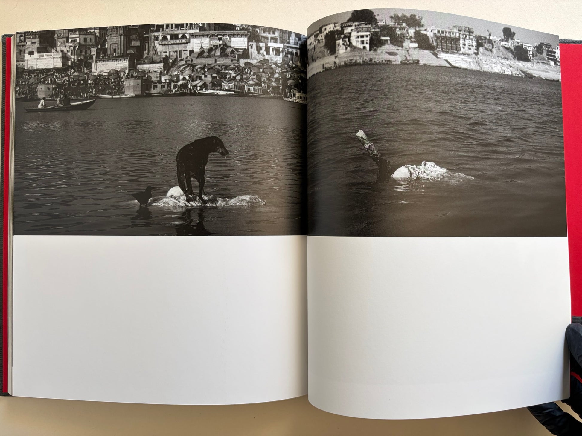 Panoramic interior spread from Naked City Varanasi showing a dog standing on debris in the Ganges with the riverfront beyond.