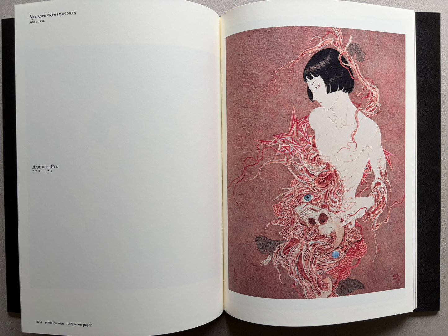 Necrophantasmagoria Vanitas by Takato Yamamoto, spread showing a finished colour artwork titled Another Eye.