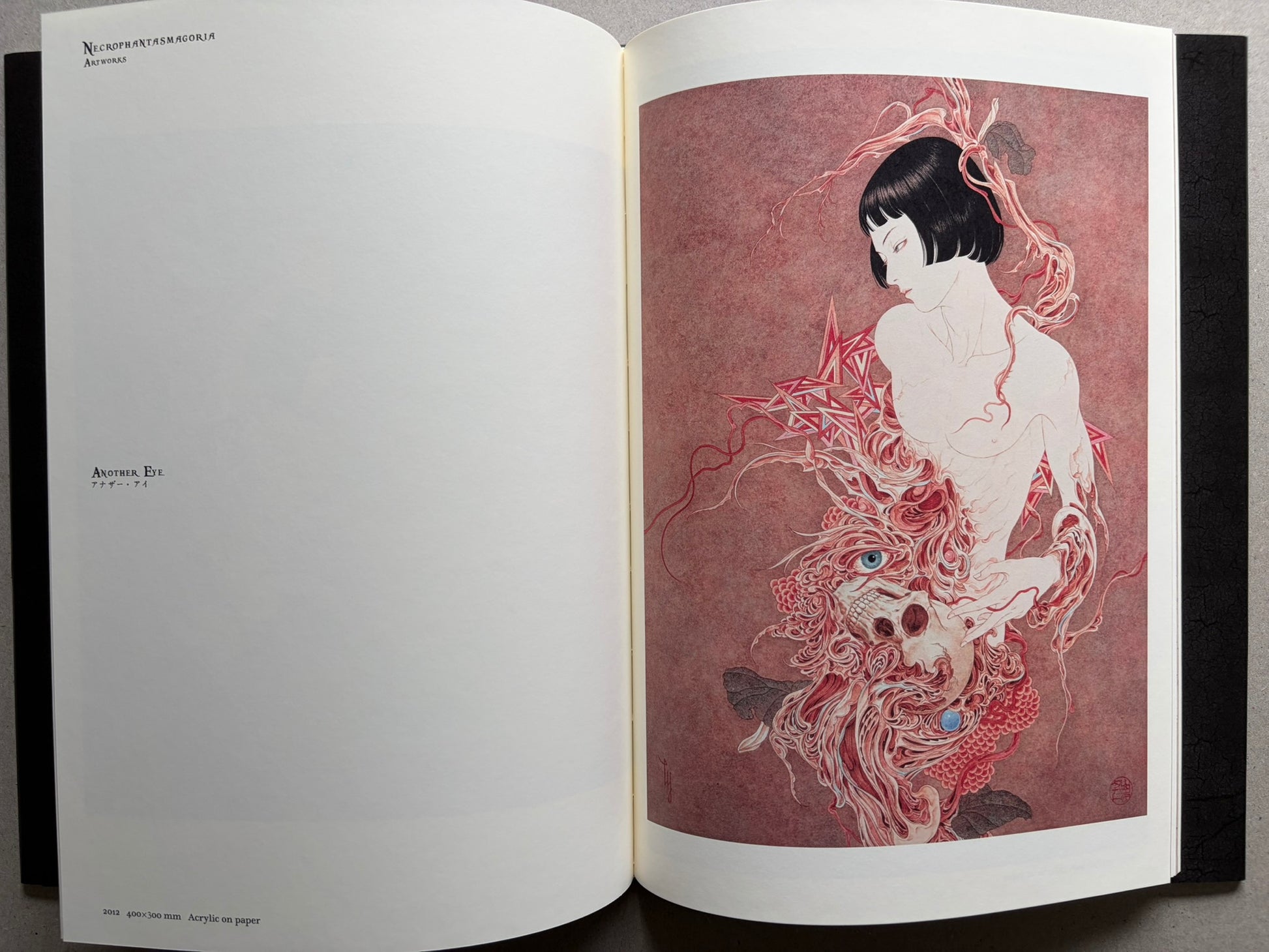 Necrophantasmagoria Vanitas by Takato Yamamoto, spread showing a finished colour artwork titled Another Eye.