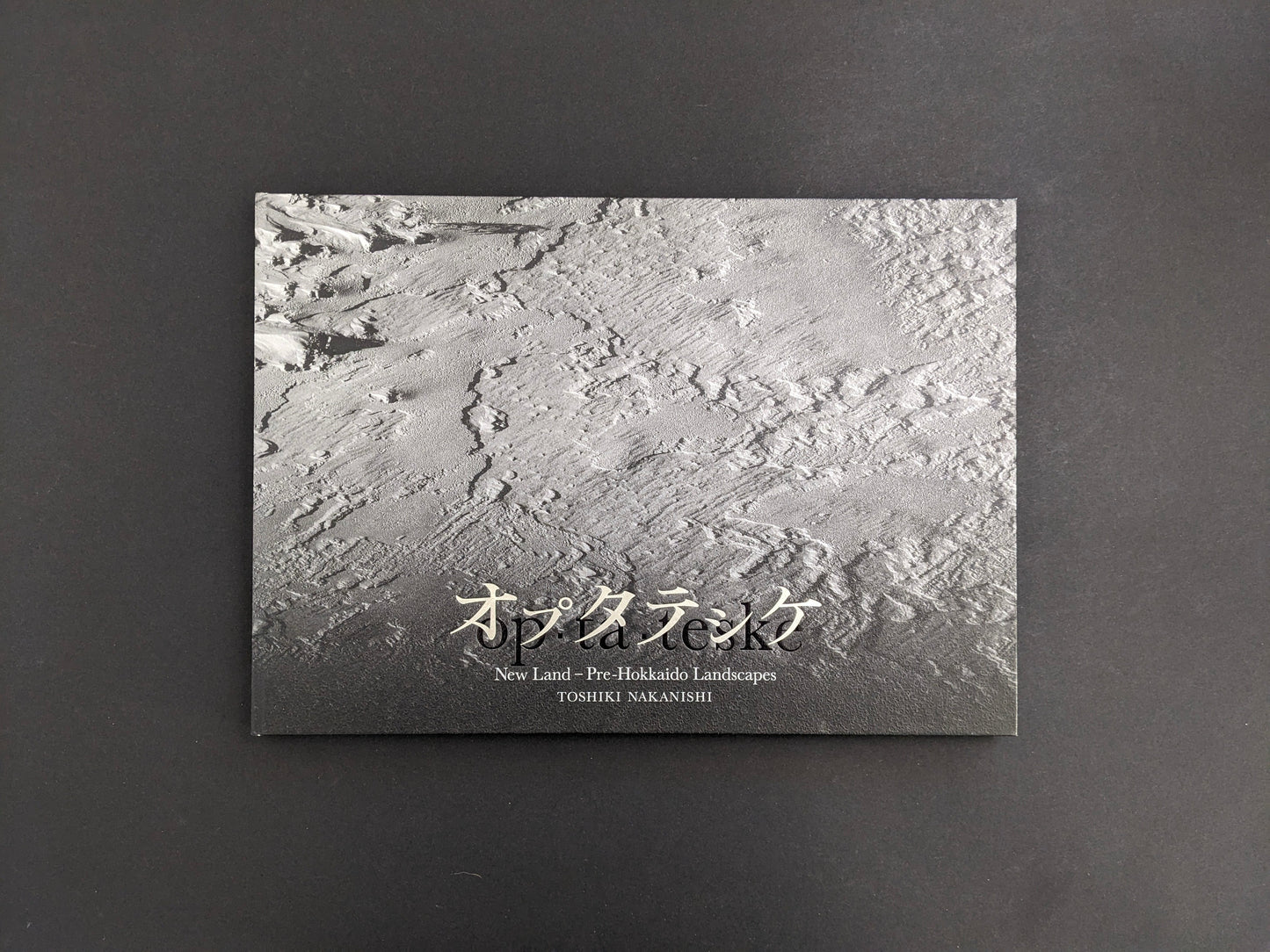 Front cover of New Land: Pre-Hokkaido Landscapes by Toshiki Nakanishi