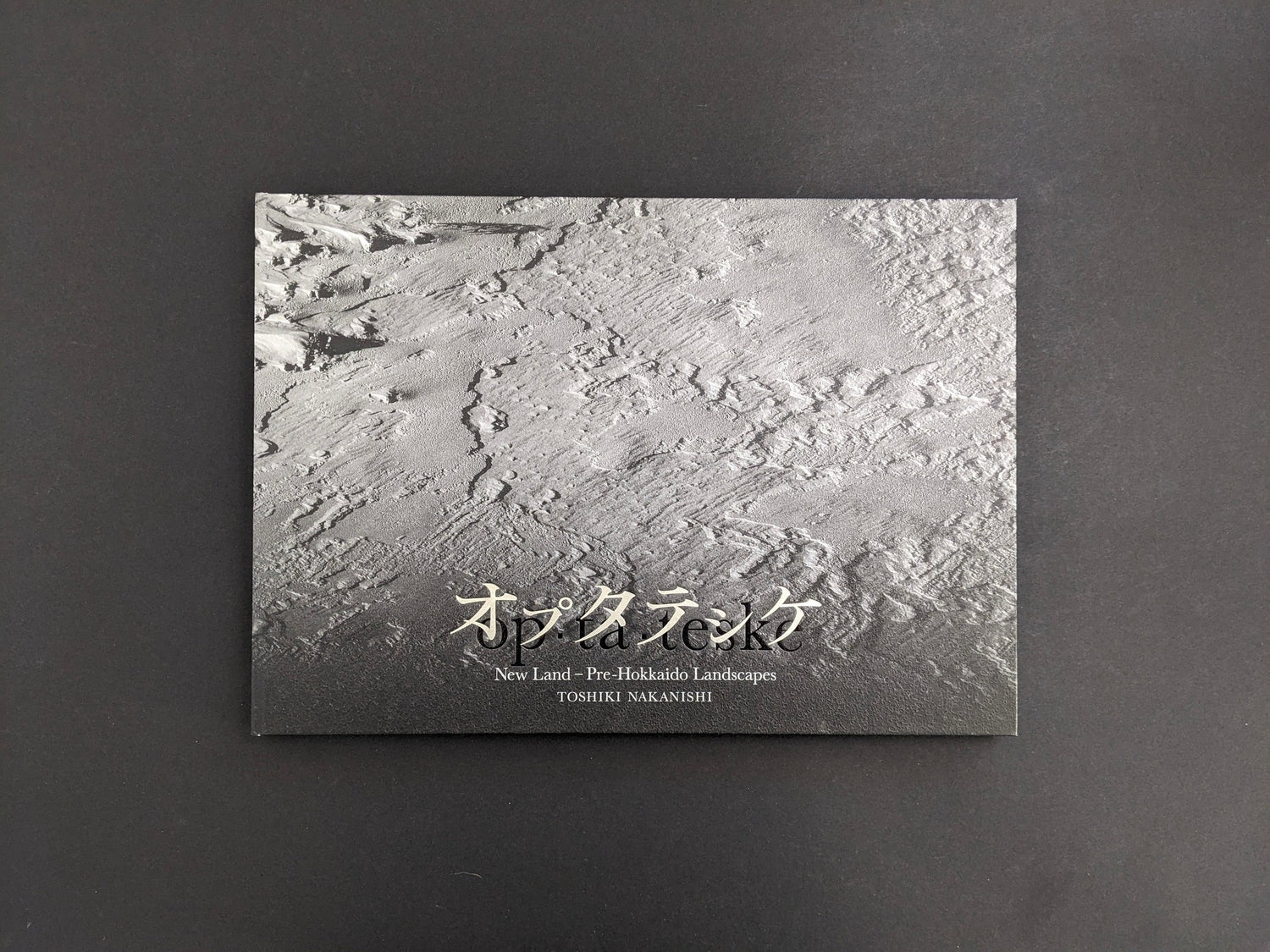 Front cover of New Land: Pre-Hokkaido Landscapes by Toshiki Nakanishi