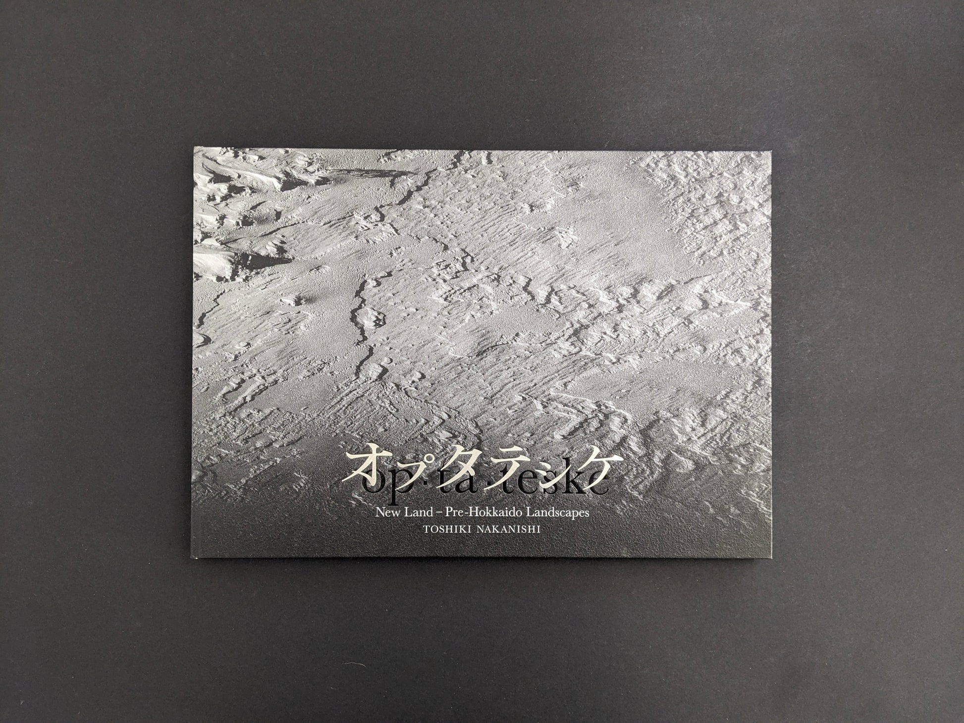 Front cover of New Land: Pre-Hokkaido Landscapes by Toshiki Nakanishi