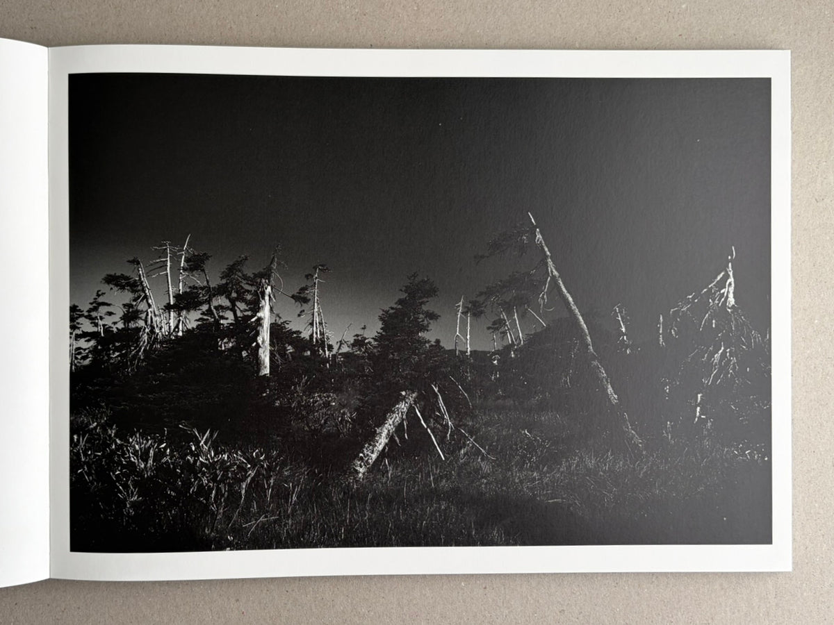 Open book spread showing a black-and-white landscape photograph from New Land: Pre-Hokkaido Landscapes by Toshiki Nakanishi, with sparse trees and dark sky.