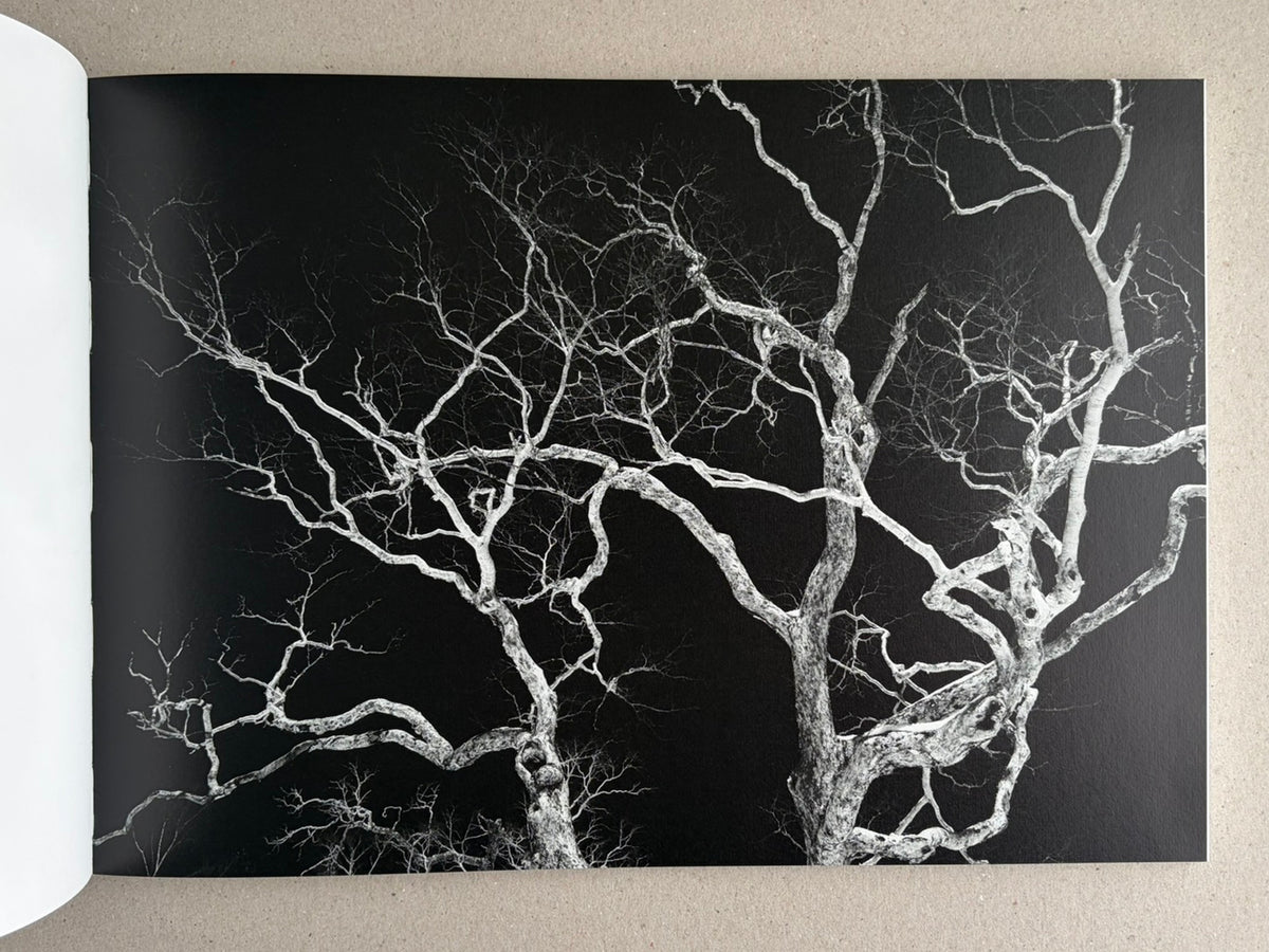 Open book page showing a black-and-white photograph of leafless tree branches against a dark background, from New Land: Pre-Hokkaido Landscapes by Toshiki Nakanishi.