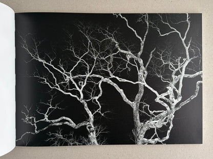 Open book page showing a black-and-white photograph of leafless tree branches against a dark background, from New Land: Pre-Hokkaido Landscapes by Toshiki Nakanishi.