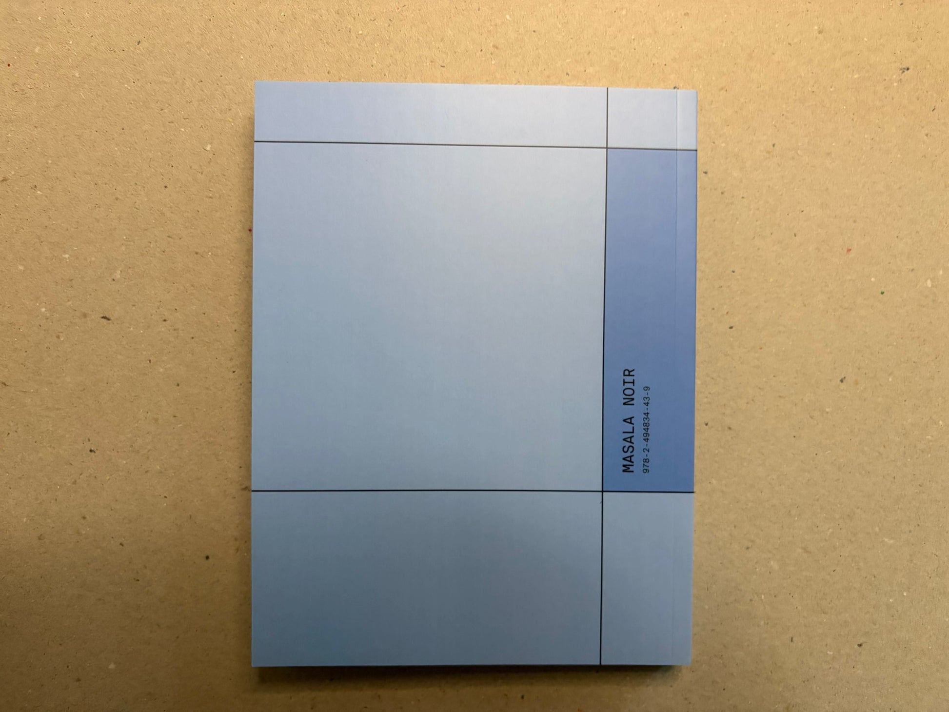 Back cover of the book, showing the same pale blue geometric design and Masala Noir imprint.