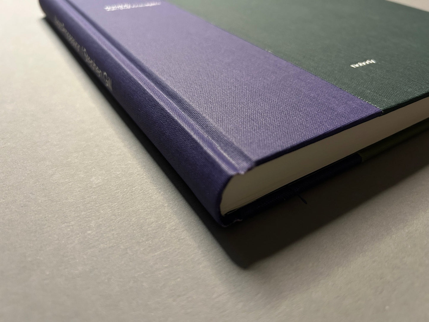 Night Procession by Stephen Gill, clothbound hardcover spine and cover detail