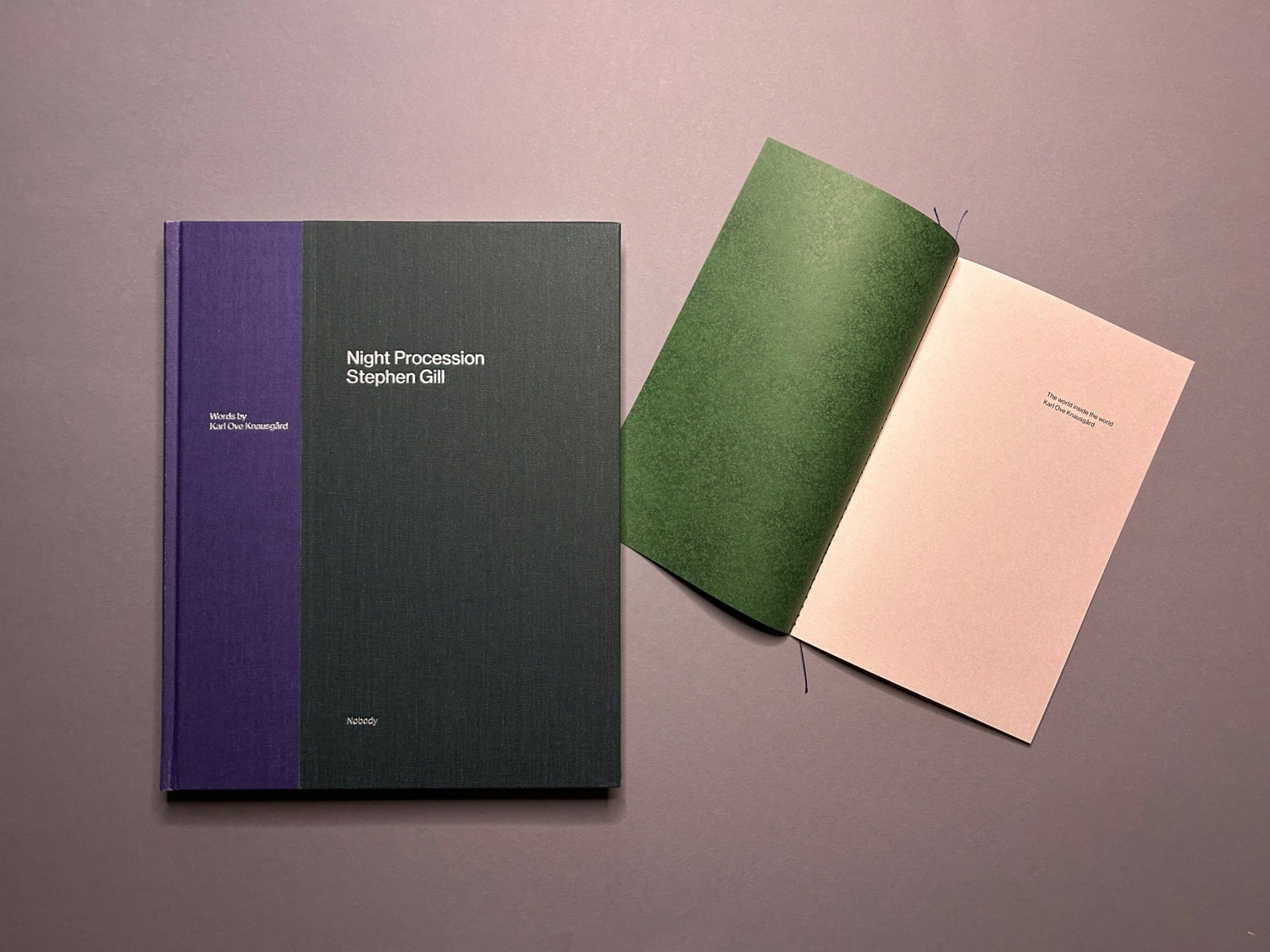 Night Procession by Stephen Gill, cover and open booklet