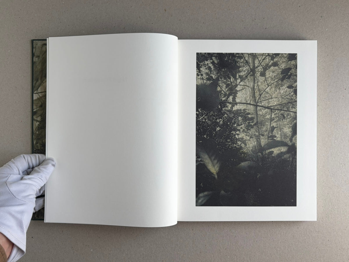 Night Procession by Stephen Gill, open photobook spread with a blank left page and a right page showing a dark forest image.