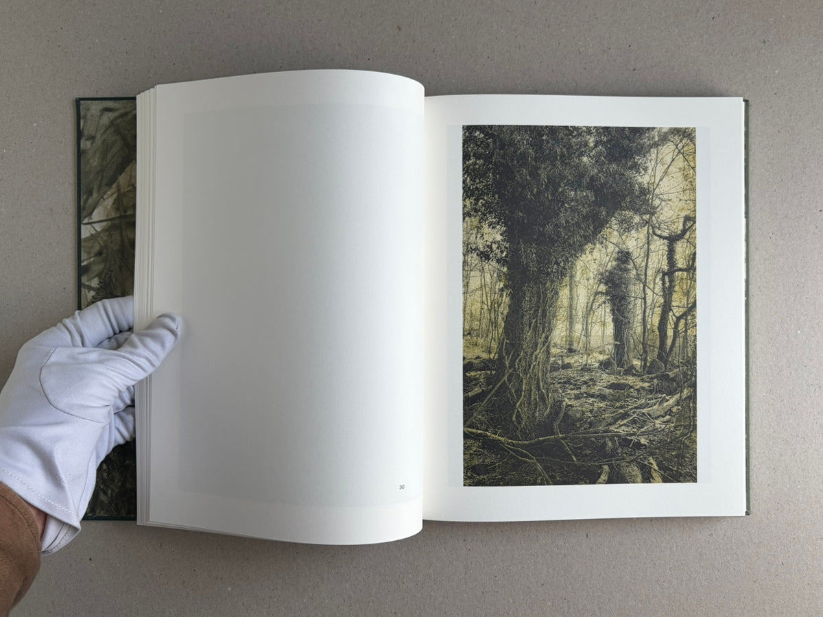 Night Procession by Stephen Gill, open to a forest photograph on the right-hand page, with a blank left page and a gloved hand holding the book open.
