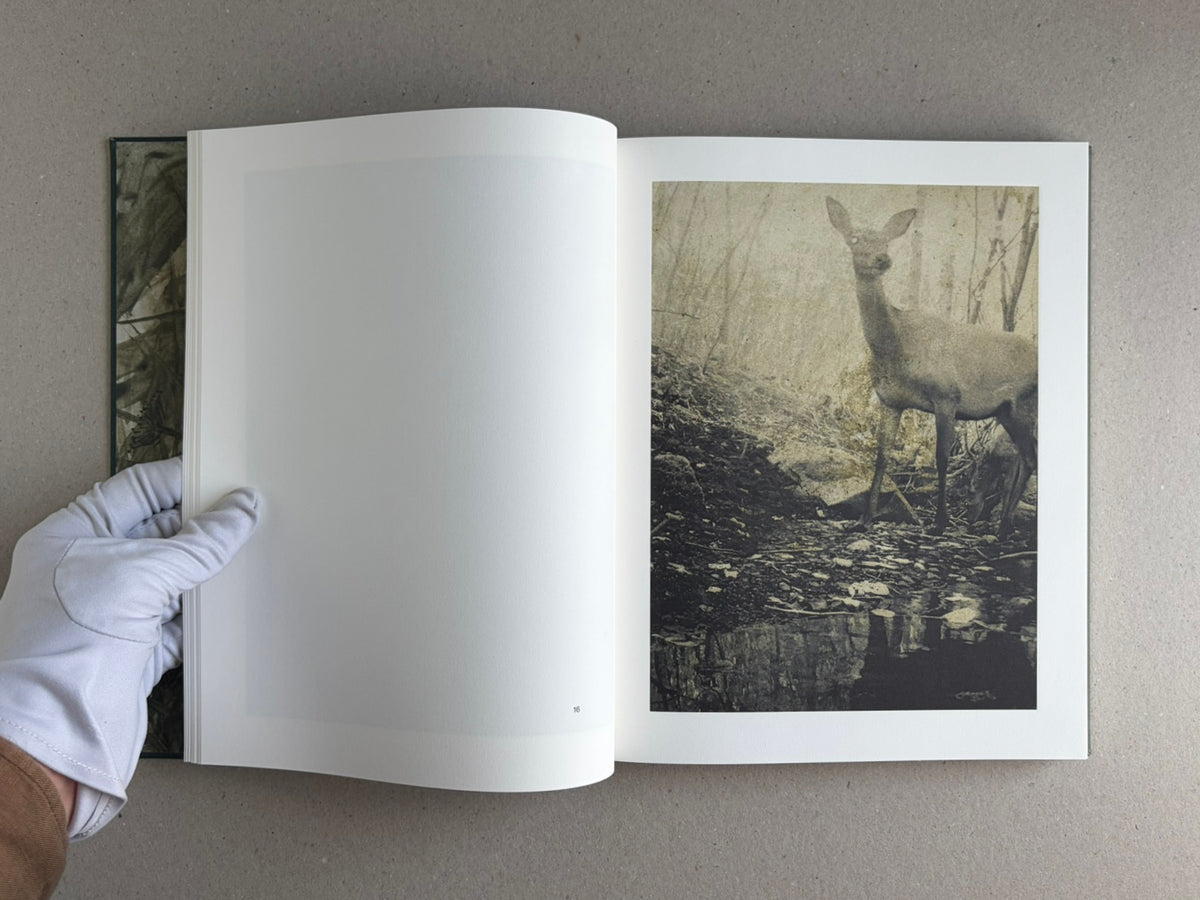 Night Procession by Stephen Gill, open to a page with a deer photograph and a blank facing page.