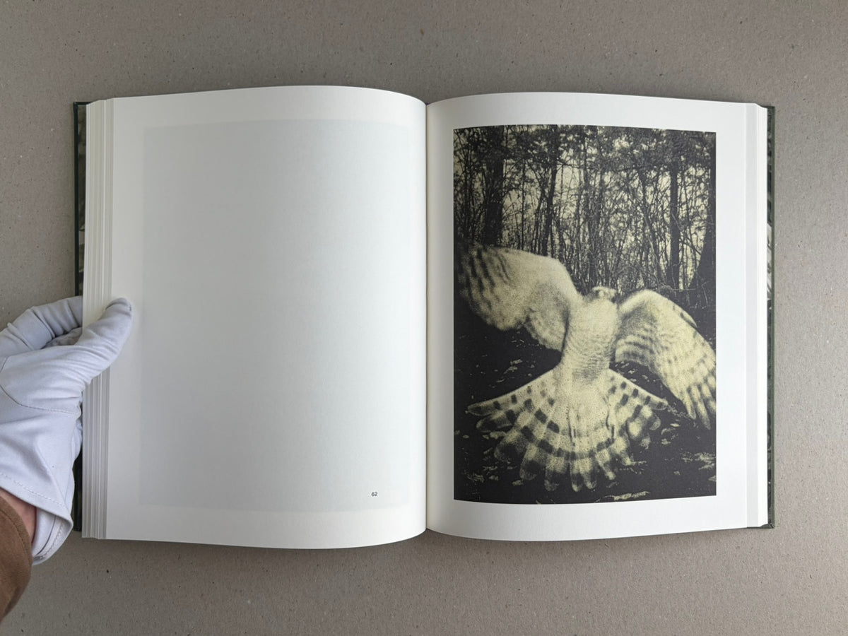 Night Procession by Stephen Gill, open book spread showing a full-page black-and-white image of a bird in flight on the right-hand page.
