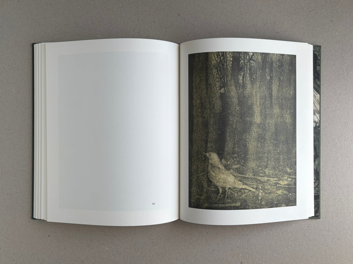 Open Night Procession by Stephen Gill showing a blank left page and a right-hand page with a dark forest image and a bird-like figure.