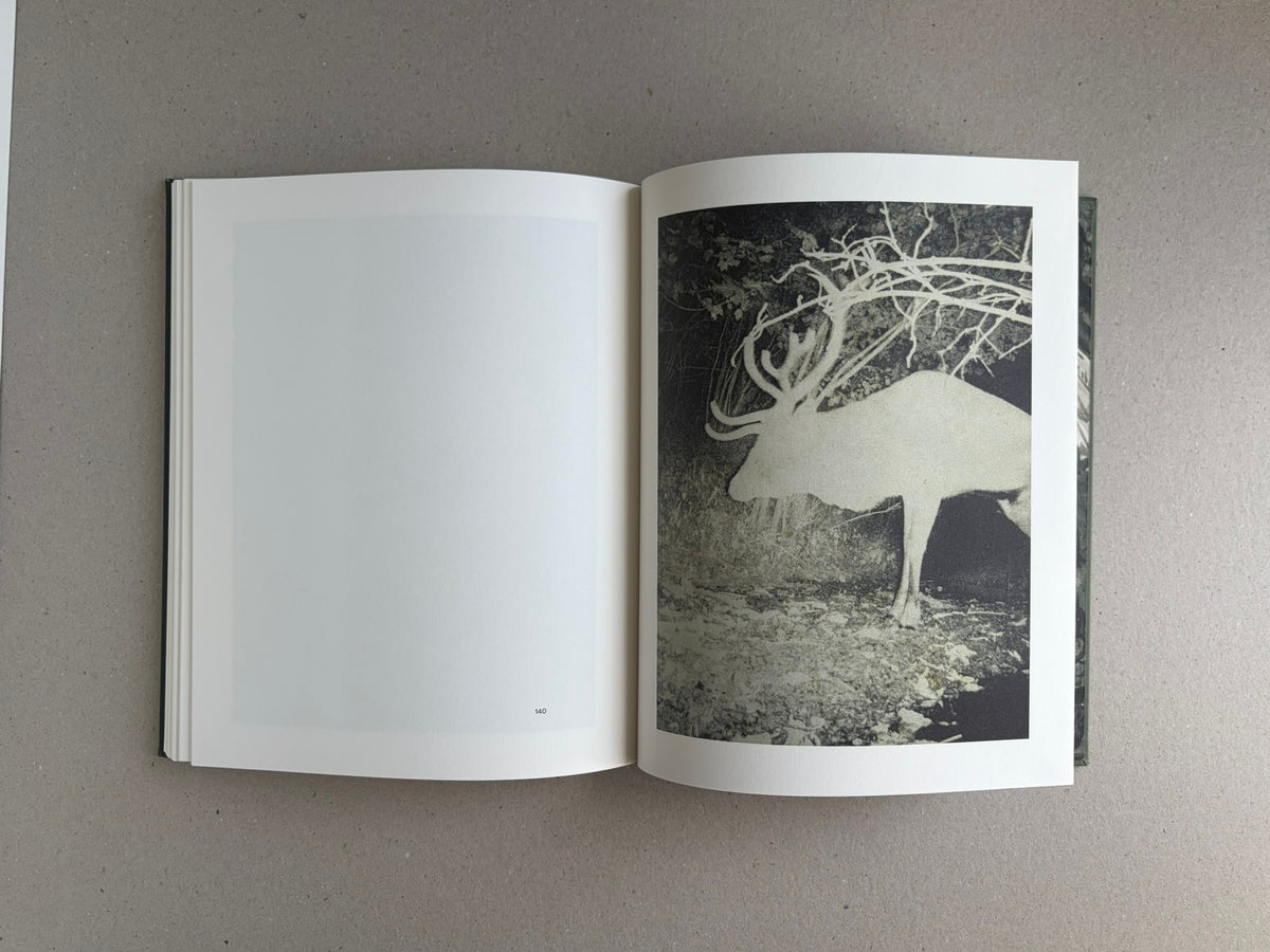 Night Procession by Stephen Gill, open book spread showing a blank left page and a black-and-white animal photograph on the right page.