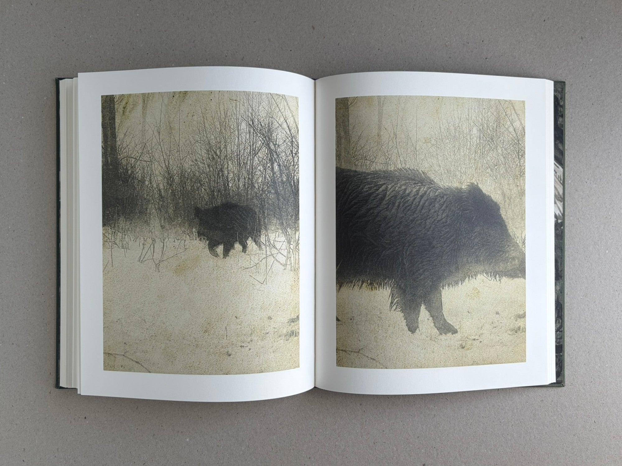 Night Procession – Stephen Gill | Signed Photobook – Lokator100