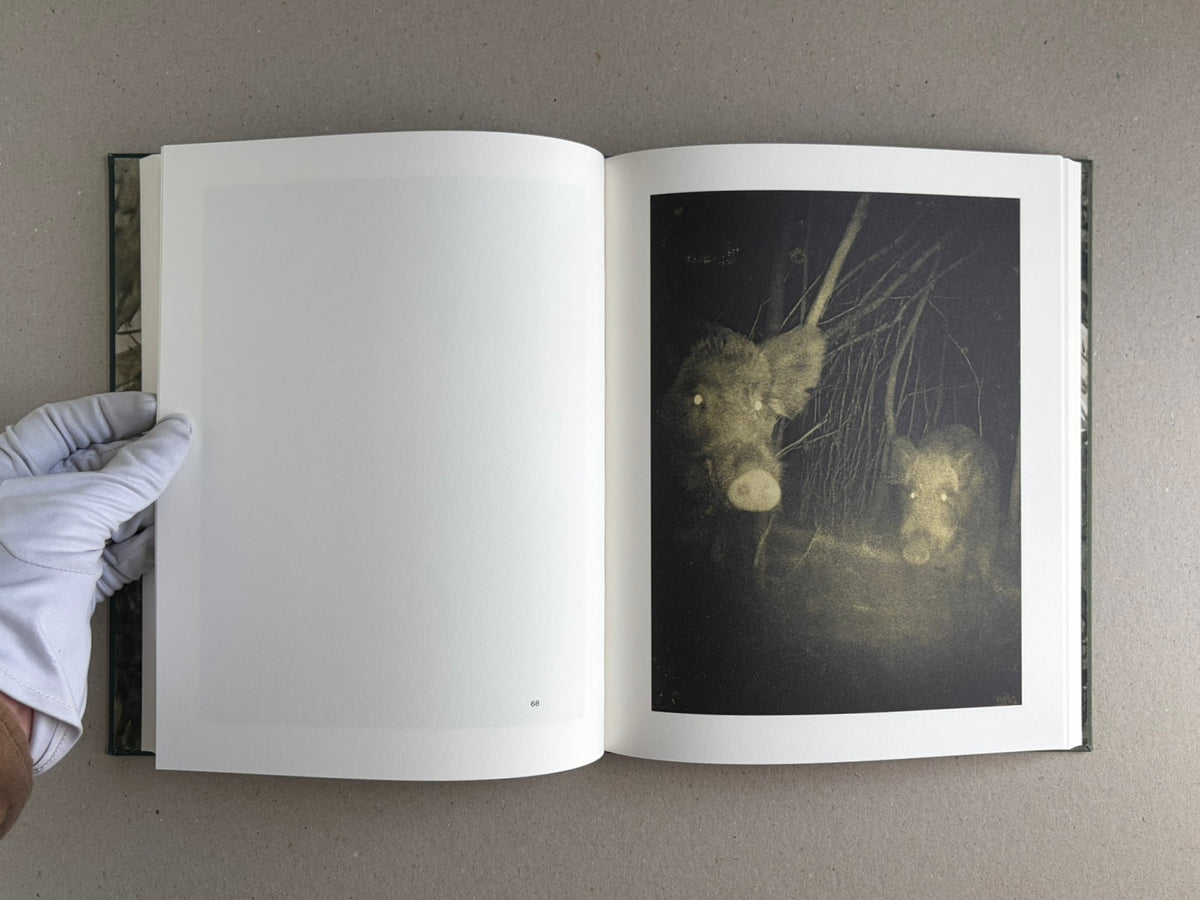 Night Procession by Stephen Gill, open photobook spread showing a blank left page and a dark wildlife image on the right page, with a gloved hand holding the book open.