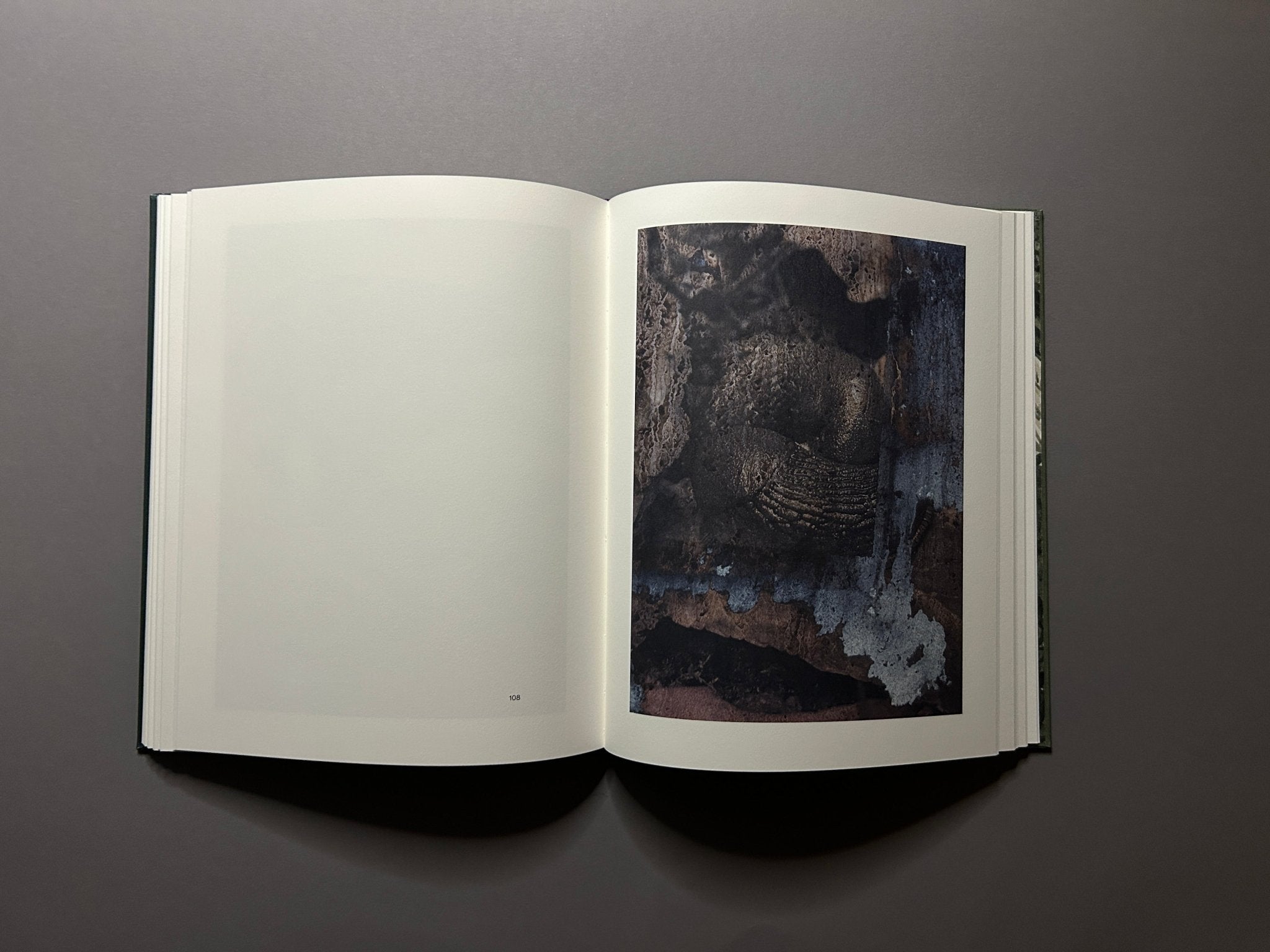 Night Procession – Stephen Gill | Signed Photobook – Lokator100