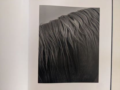 Black-and-white close-up of a horse’s mane from 'No Fences'