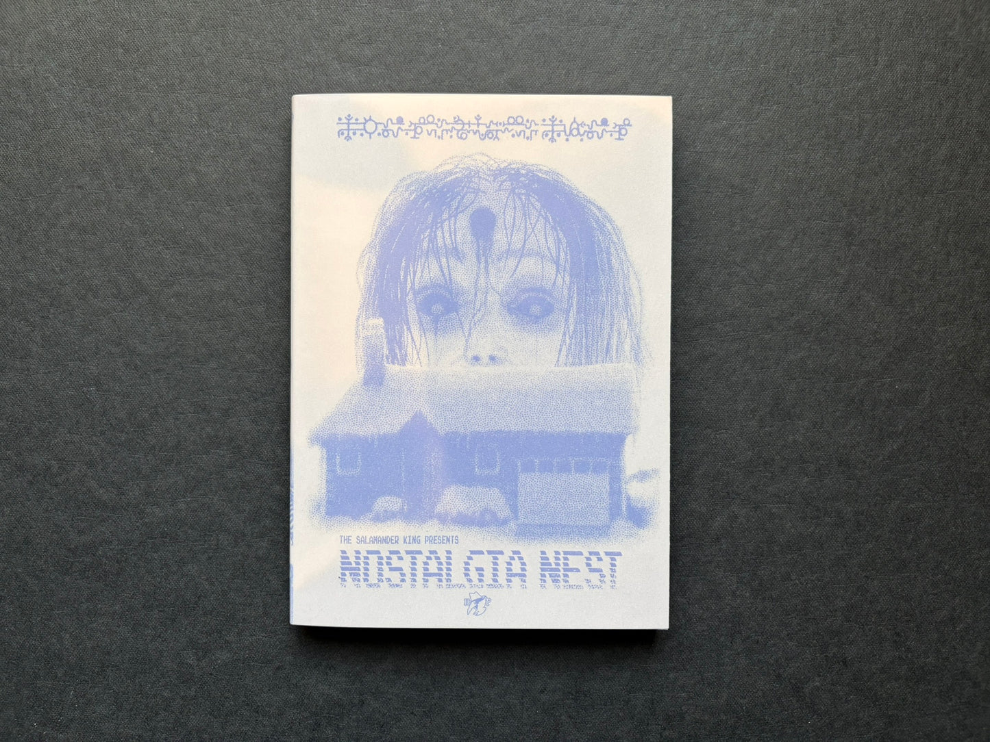 Front cover of Nostalgia Nest - The Salamander King, with a pale blue illustration on a semi-transparent jacket