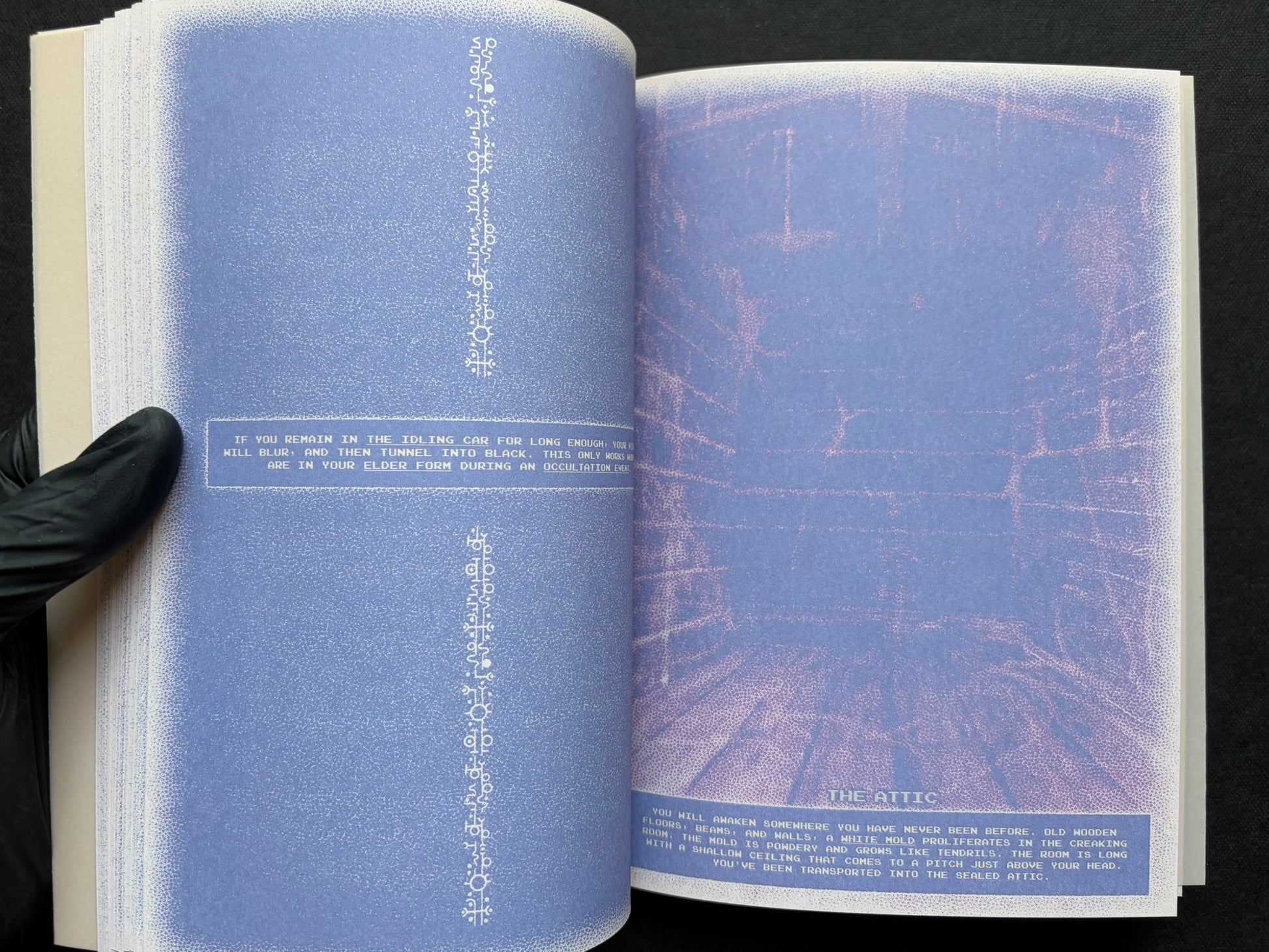 Interior spread of Nostalgia Nest - The Salamander King with the heading 'The Attic'