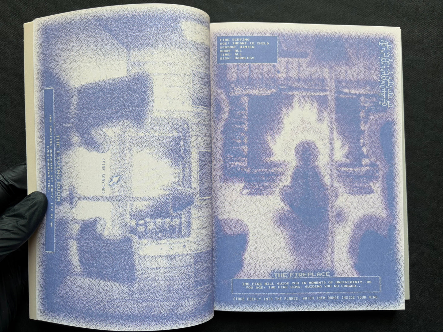 Interior spread of Nostalgia Nest - The Salamander King with the heading 'The Living Room' and 'The Fireplace'
