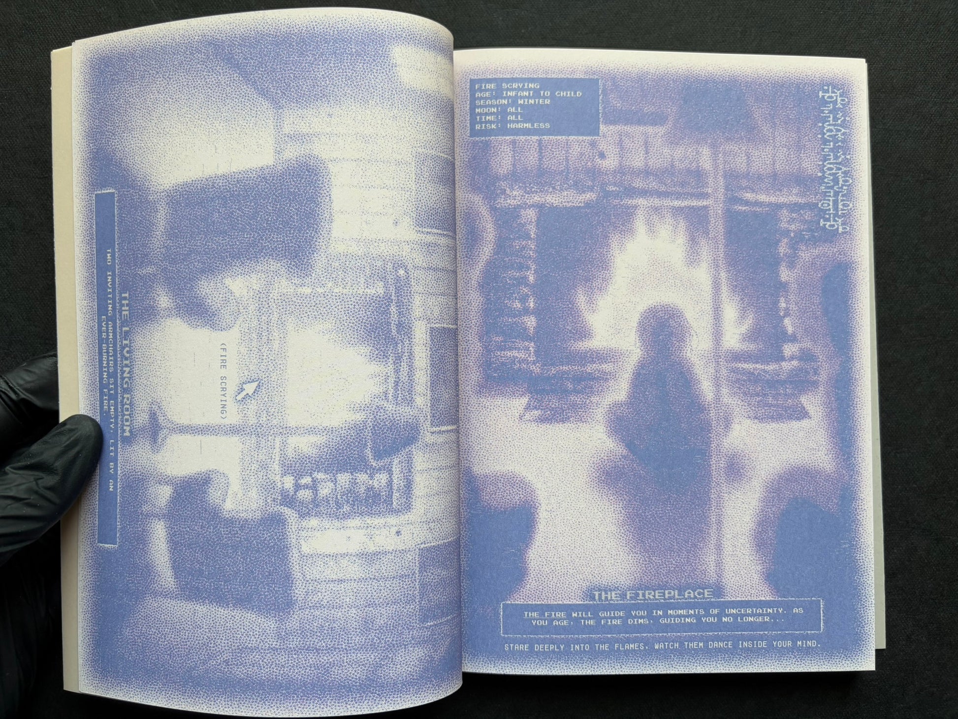 Interior spread of Nostalgia Nest - The Salamander King with the heading 'The Living Room' and 'The Fireplace'