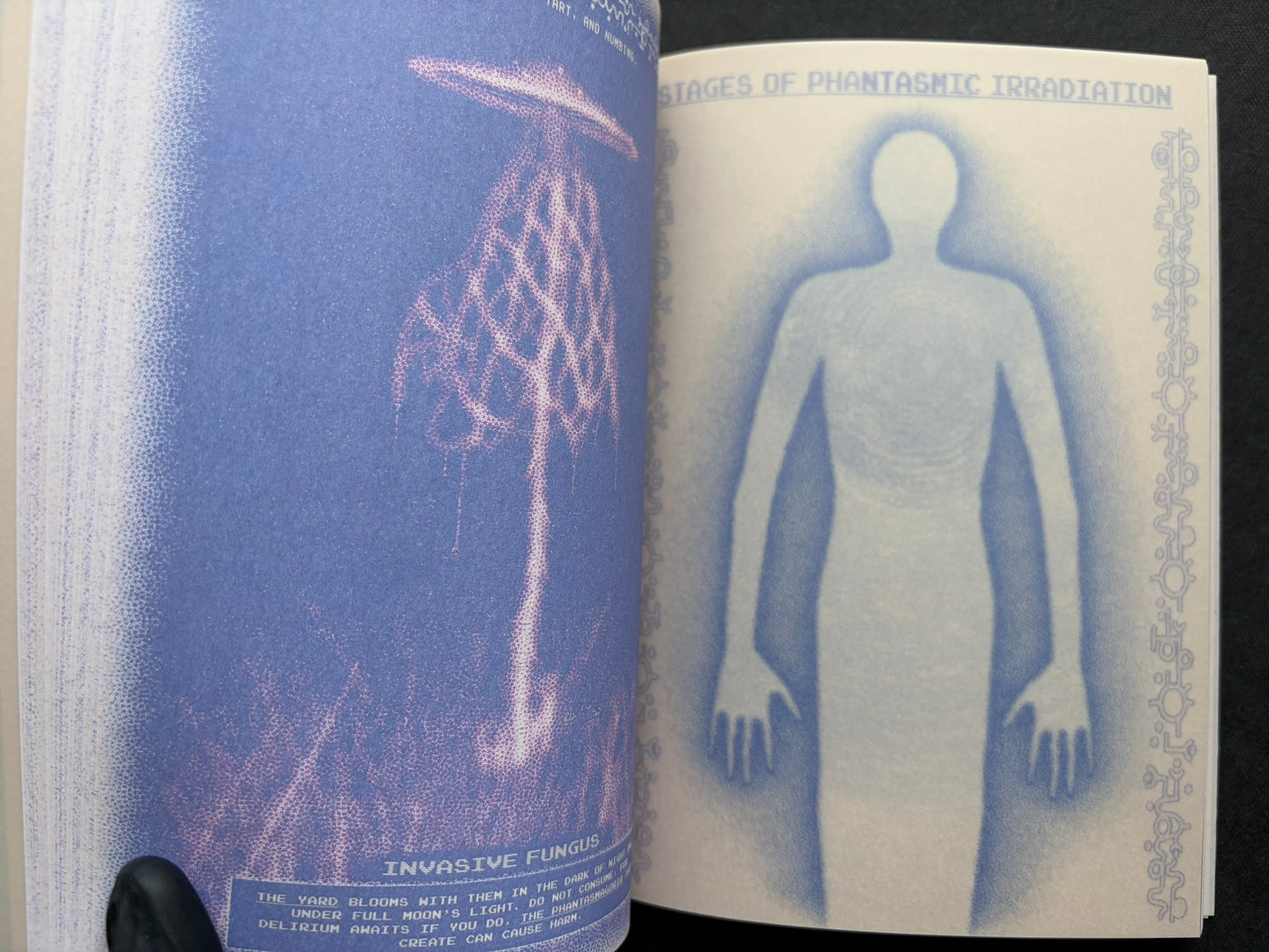 Interior spread of Nostalgia Nest - The Salamander King with the heading 'Stages of Phantasmic Irradiation'