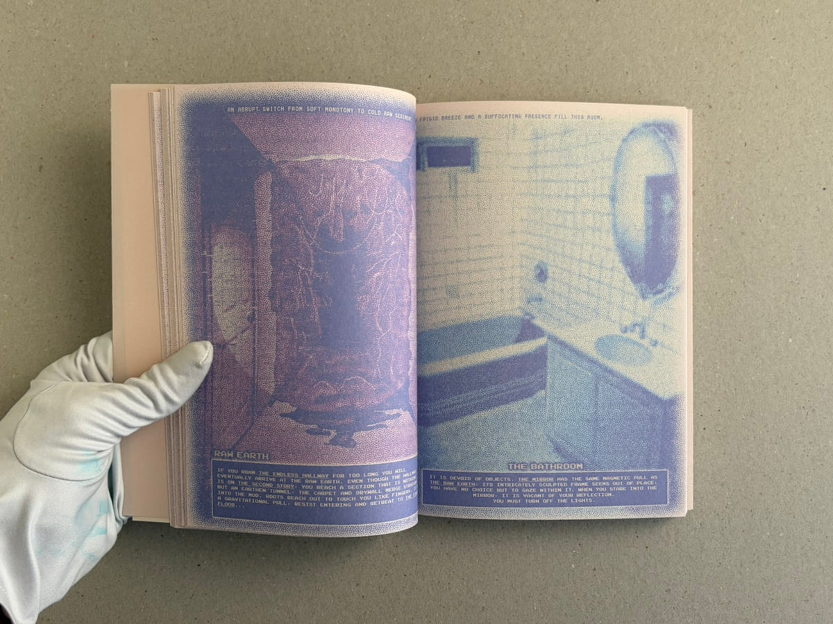 Open book spread from Nostalgia Nest – The Salamander King, showing two illustrated pages with blue-purple halftone imagery and small text blocks, held open by a gloved hand.