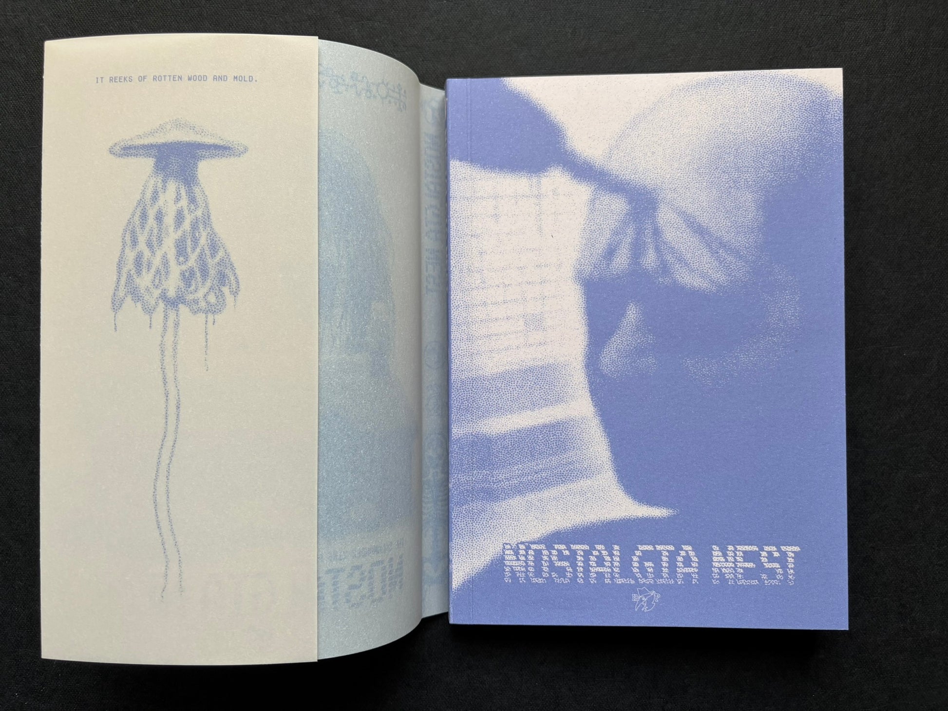Interior spread of Nostalgia Nest - The Salamander King, with a translucent insert page and blue printed artwork