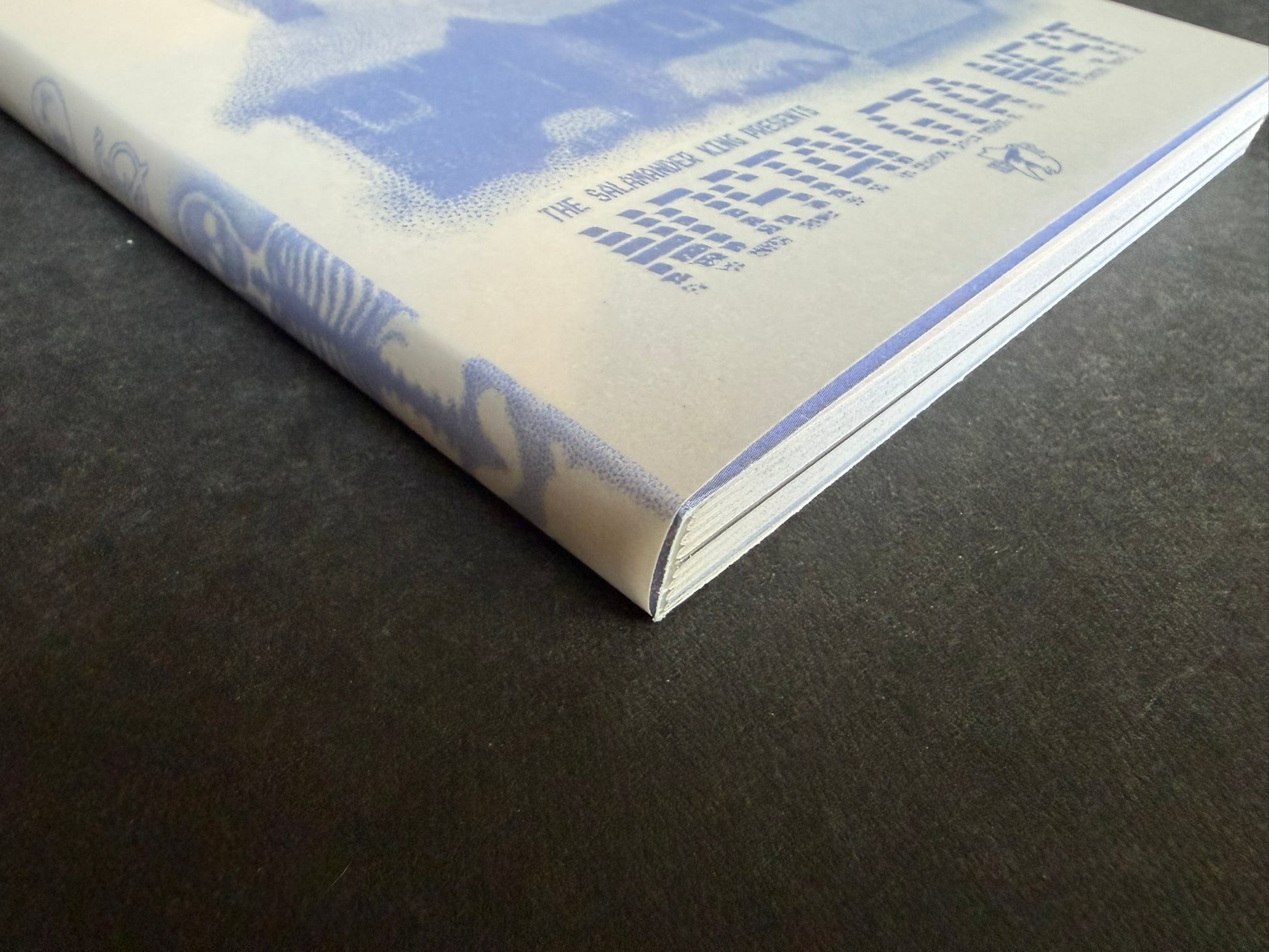Nostalgia Nest - The Salamander King shown at an angle, with the cover and page edges visible