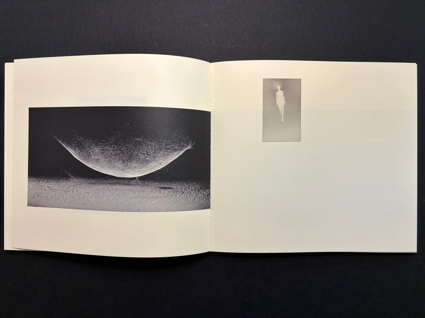 Open Nusa spread with a small vertical photograph on the left page and branches on the right