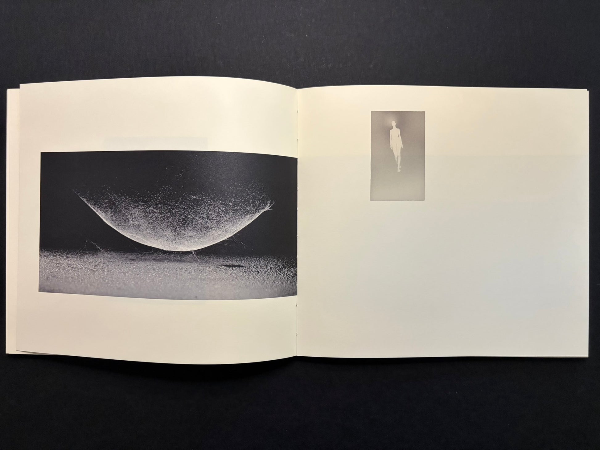Open Nusa spread with a small vertical photograph on the left page and branches on the right