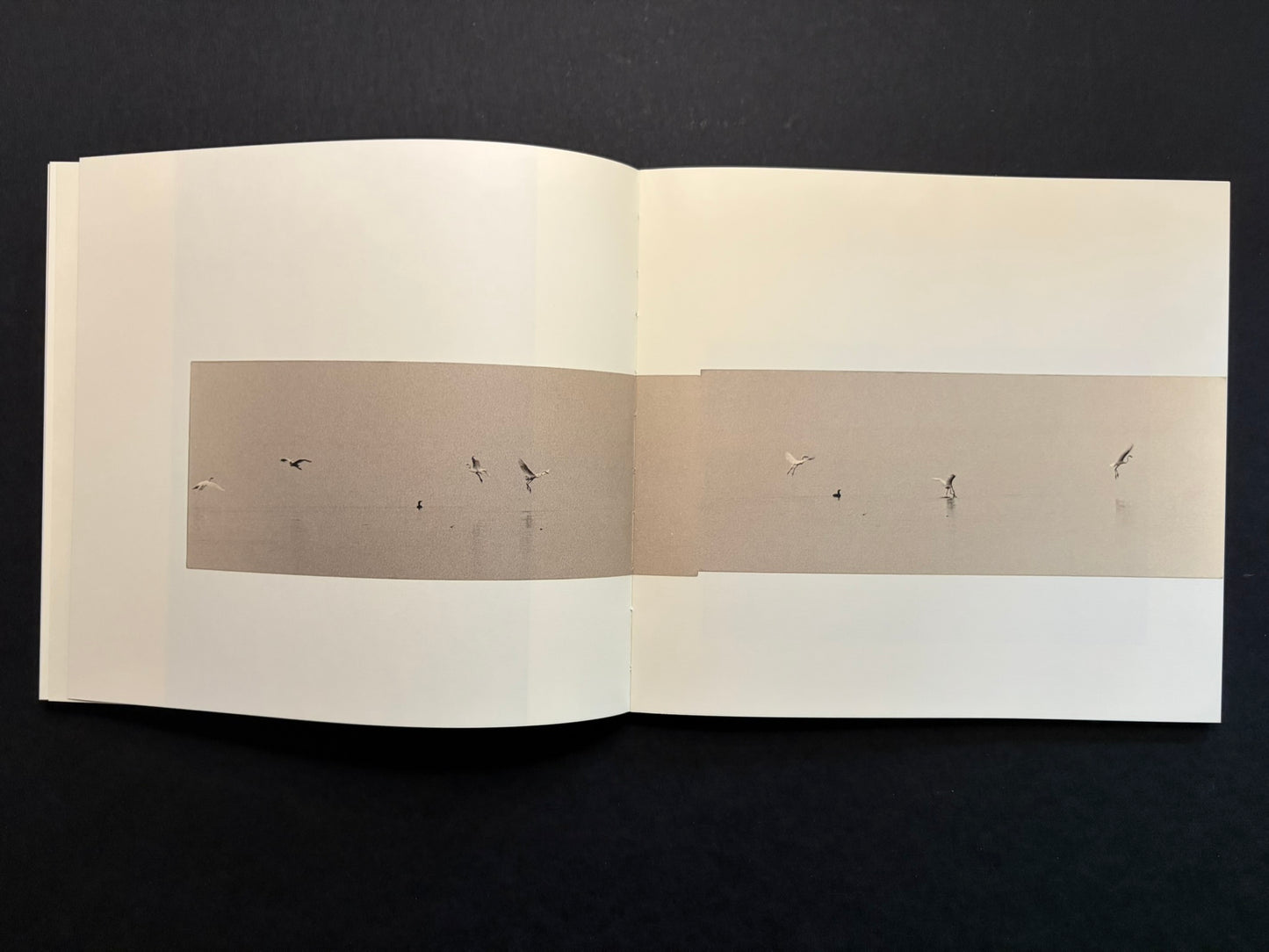 Open Nusa spread with a narrow landscape photograph on the right page