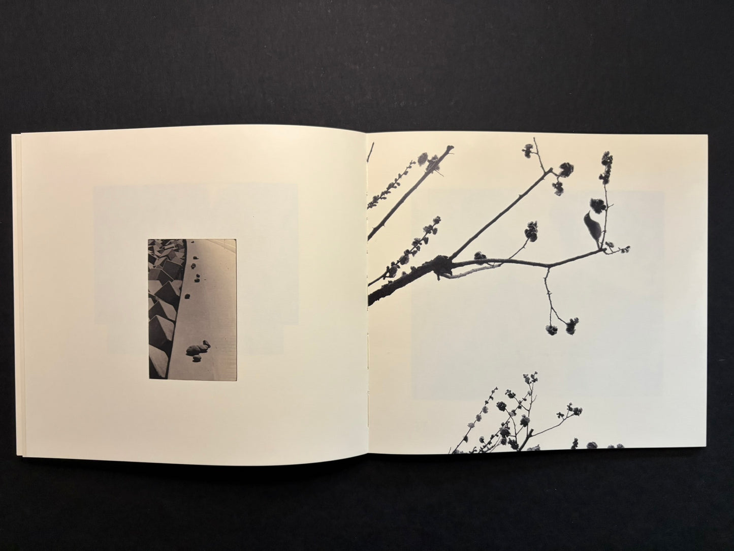 Open Nusa spread with a small vertical image on the left page and a branch detail on the right