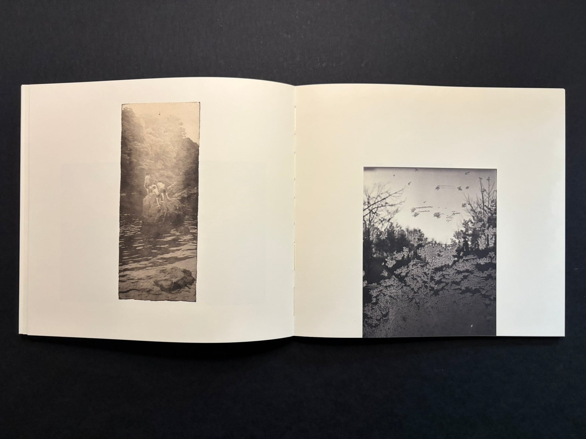 Open Nusa spread with a small vertical photograph on the left page and branches across the right page