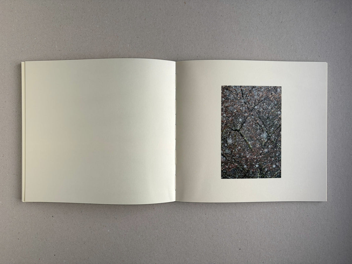 Nusa by Masao Yamamoto, open spread with a cloud image on the right page