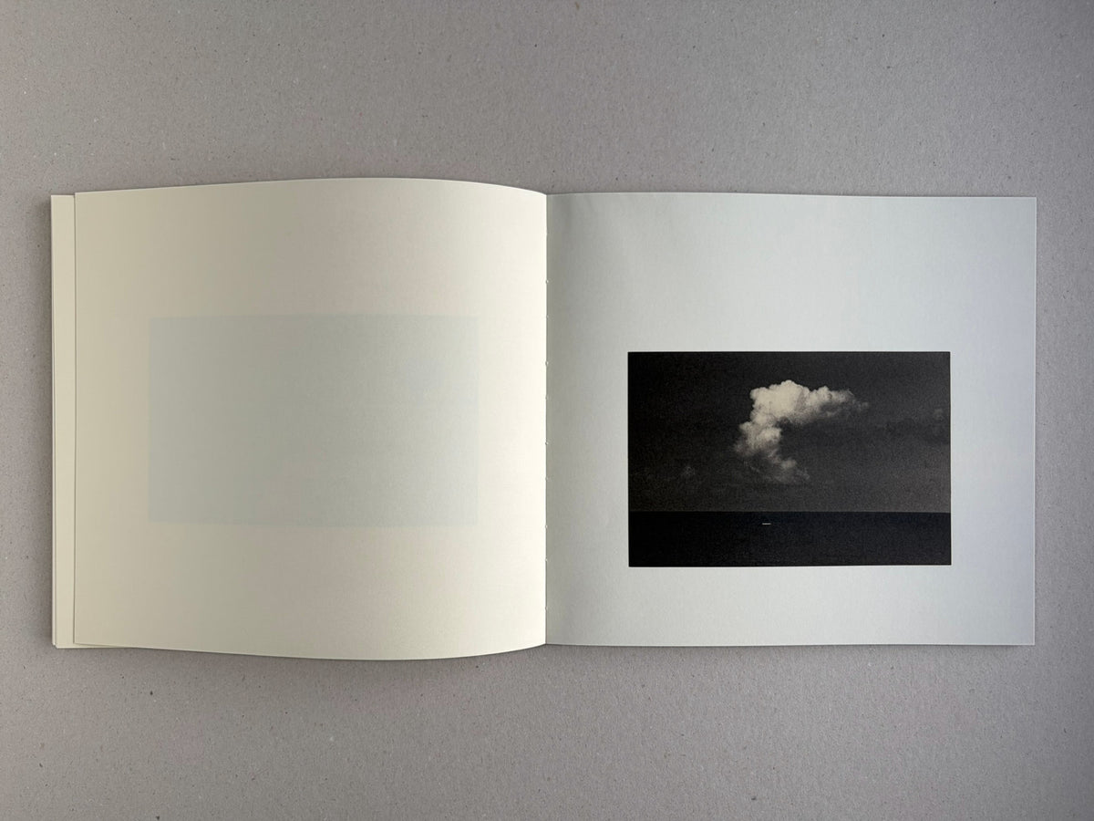 Nusa by Masao Yamamoto, open spread with a vertical sepia image and a branch detail
