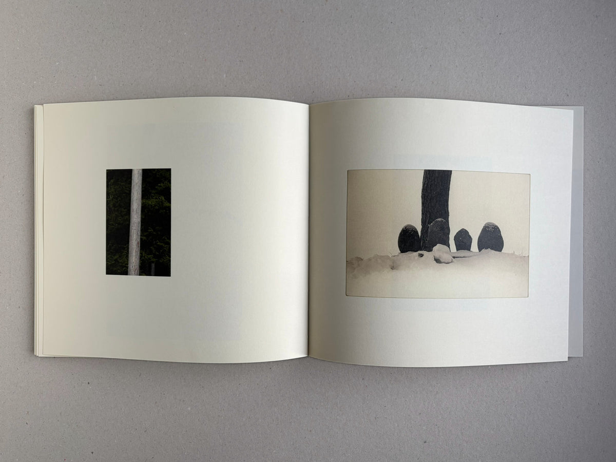 Nusa by Masao Yamamoto, open spread with a tree trunk and stones in snow