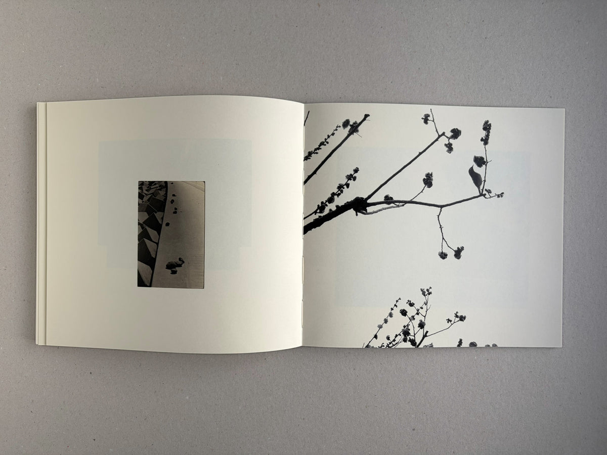 Nusa by Masao Yamamoto, open spread with a small inset image and branch silhouettes