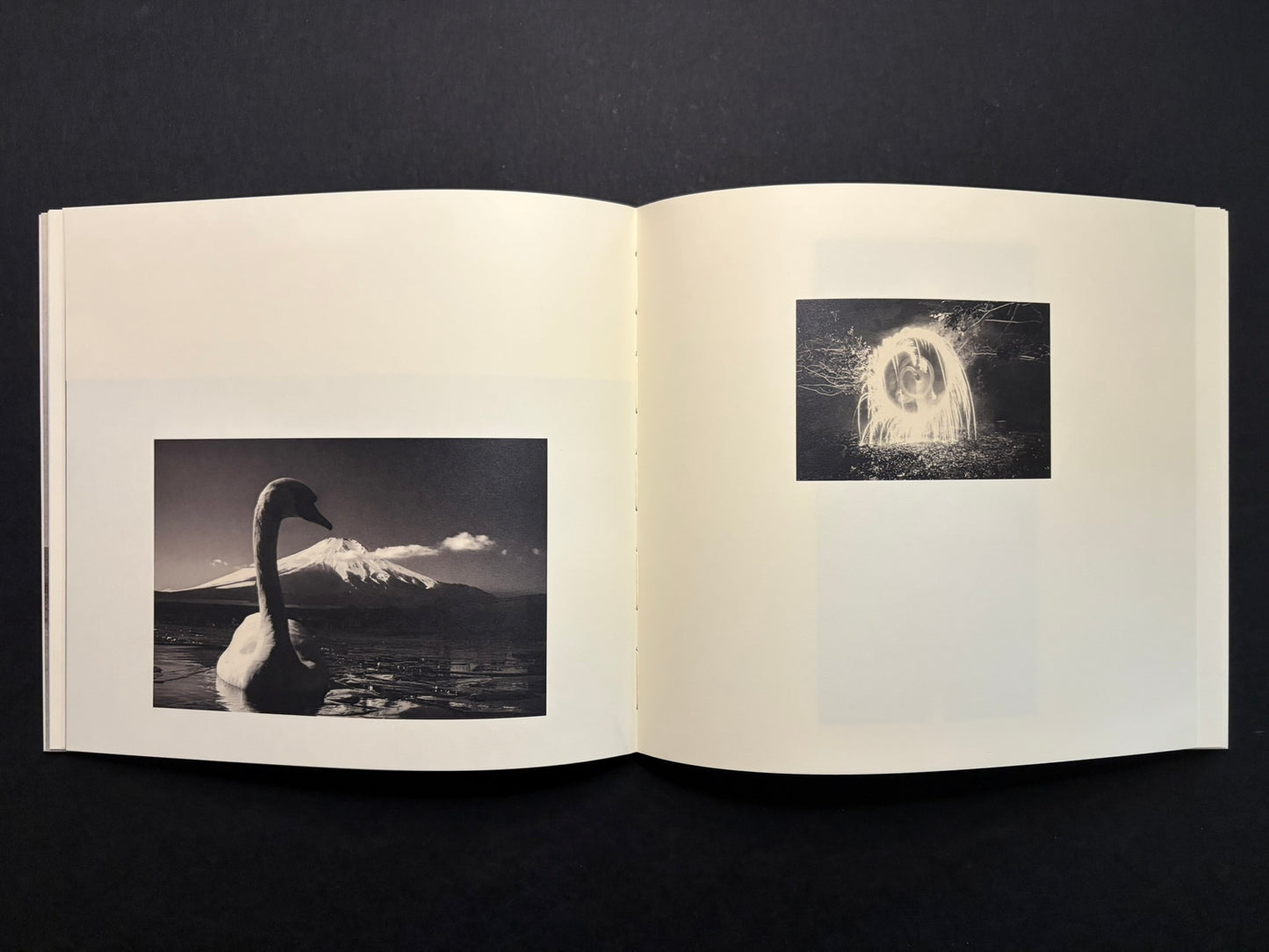 Open Nusa spread with a swan and a small bright image on the right page