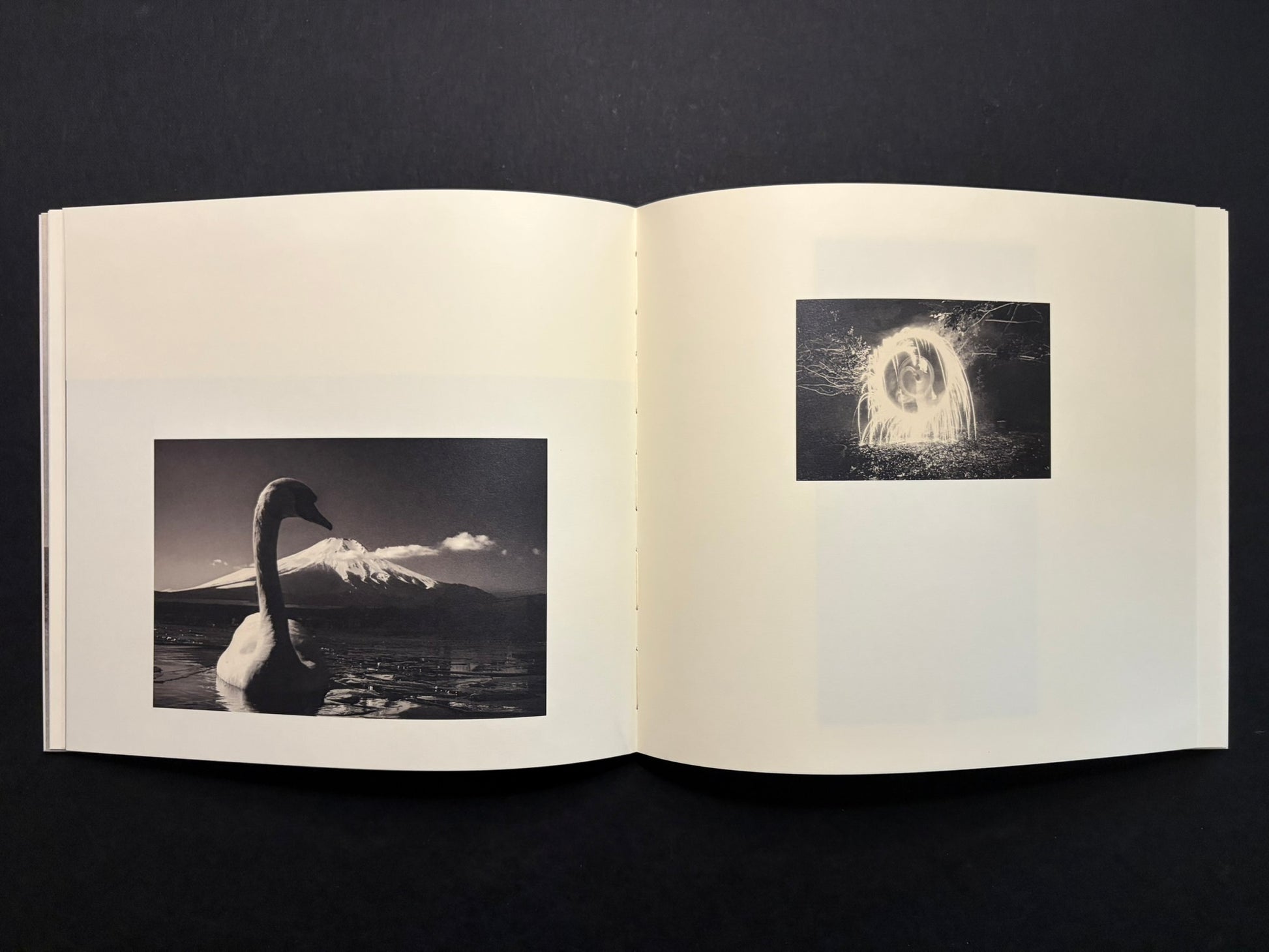 Open Nusa spread with a swan and a small bright image on the right page