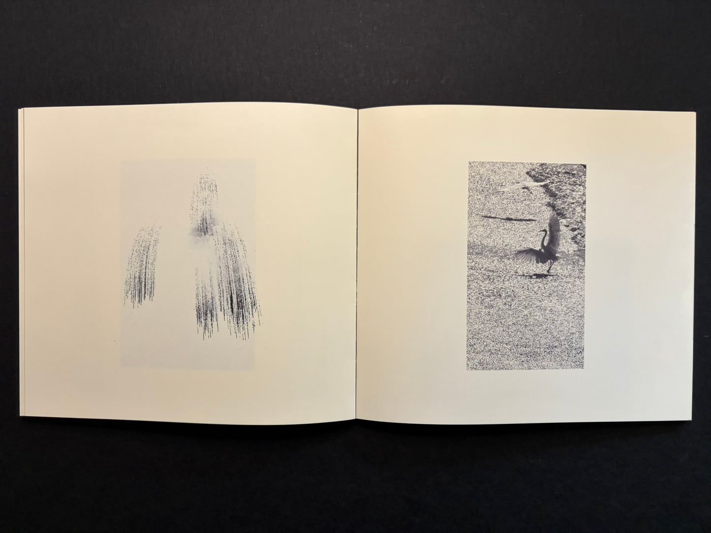 Open Nusa spread with a small vertical image on the left page and a bird in flight on the right