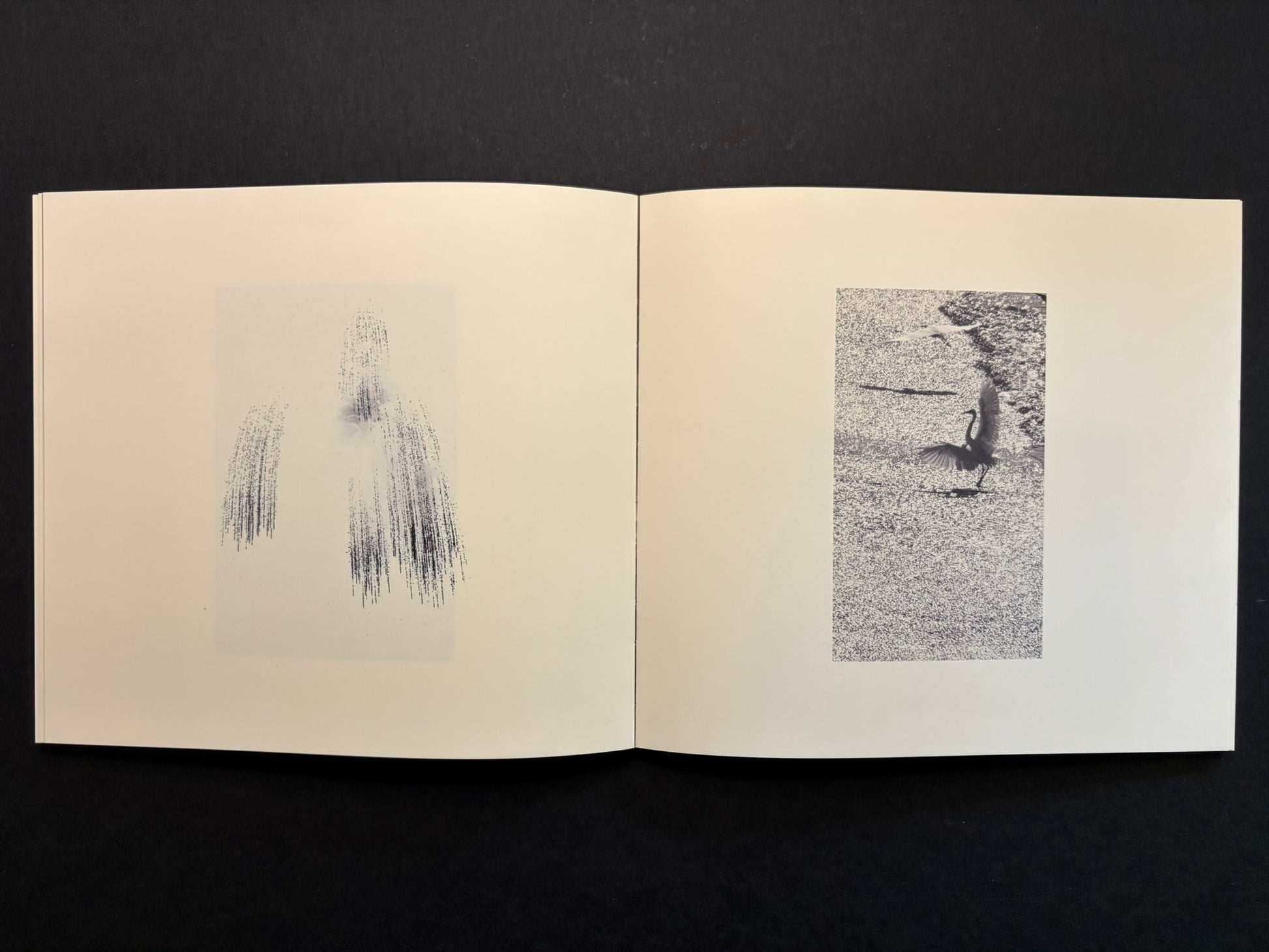 Open Nusa spread with a small vertical image on the left page and a bird in flight on the right