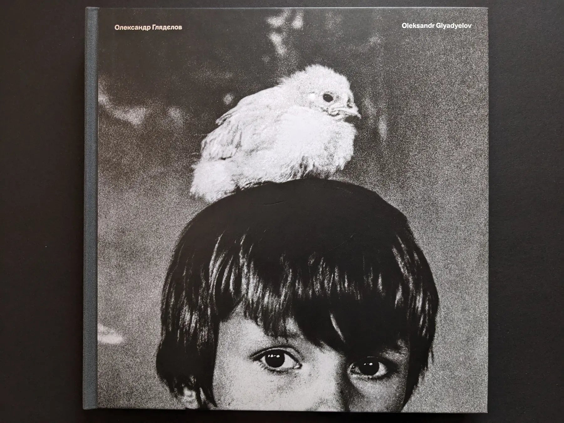 Front cover of Oleksandr Glyadyelov photobook showing a child’s face with a white bird perched on their head.